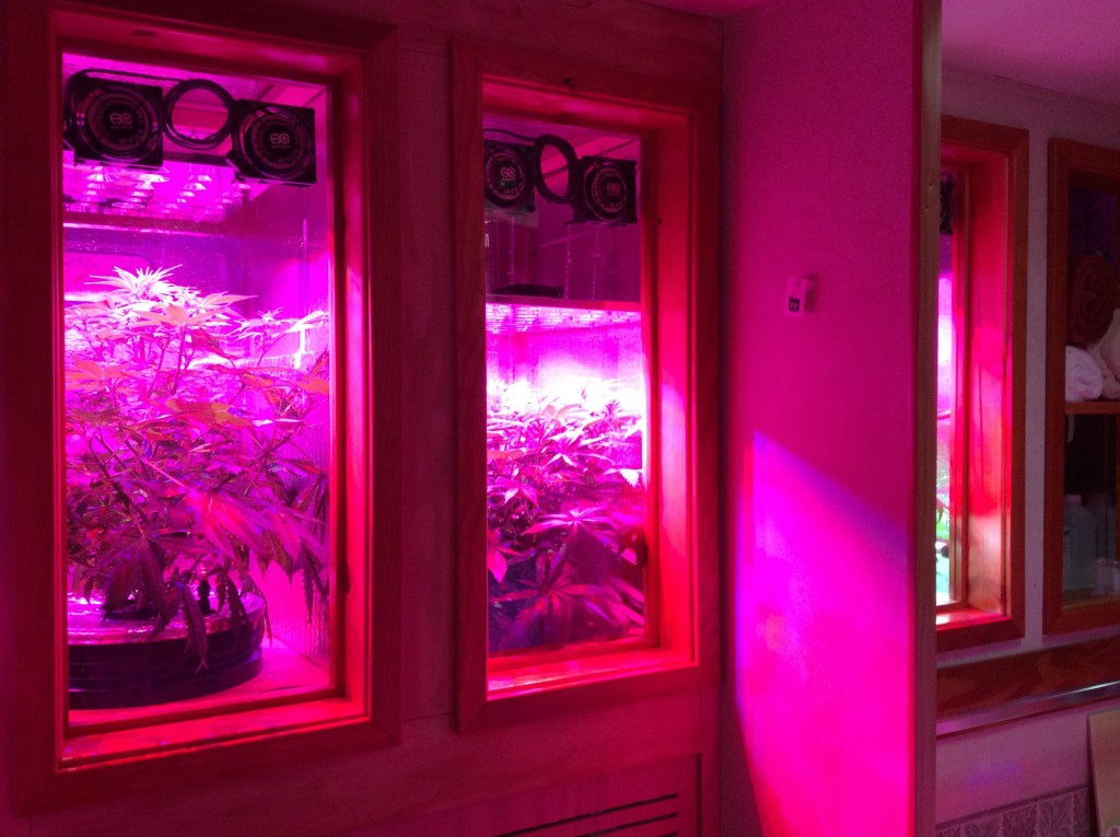 Built-In Aeroponic Grow Cabinets