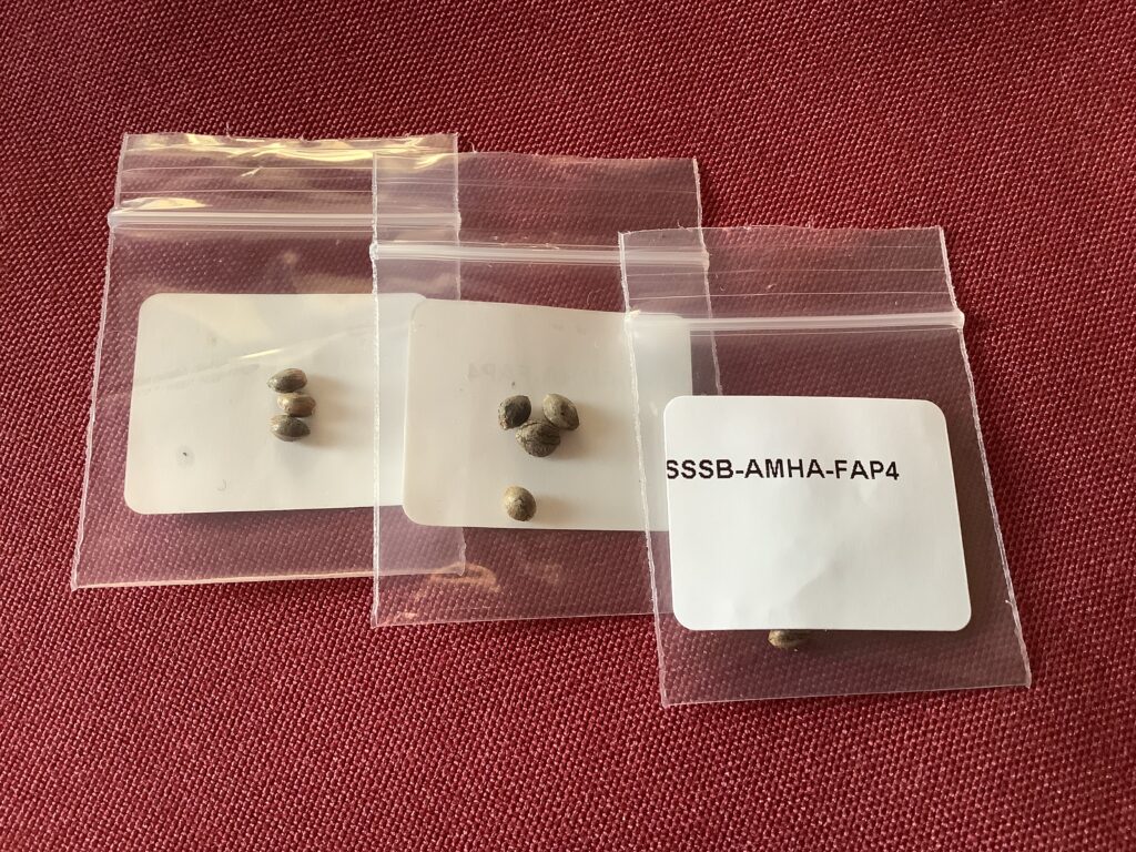 Seeds have arrived & accounted for