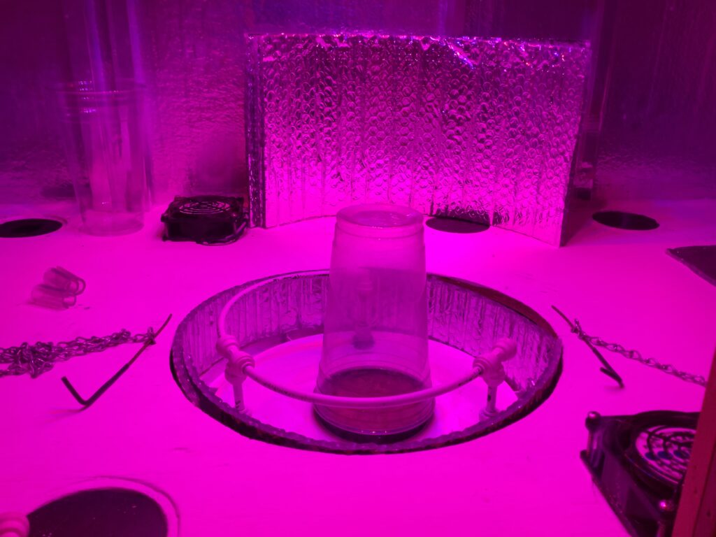 2025 Winter Solstice Grow has begun